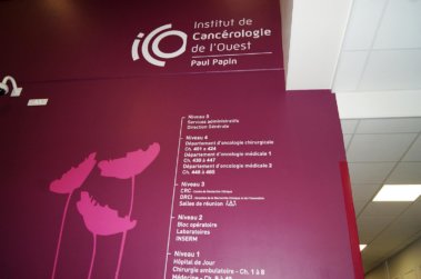 Signalétique intérieure