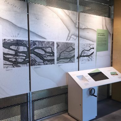 Signalétique muséographique